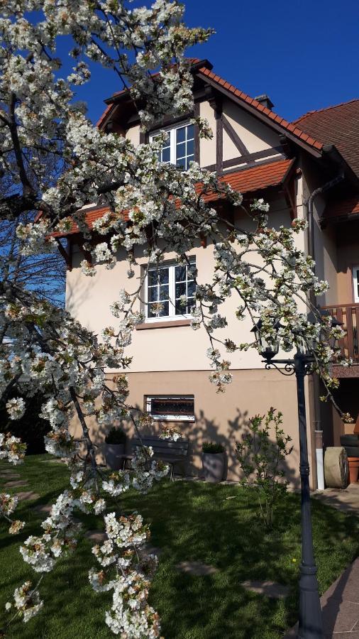 Gite "Le Platane" 45 M2 - Climatise Monswiller 외부 사진