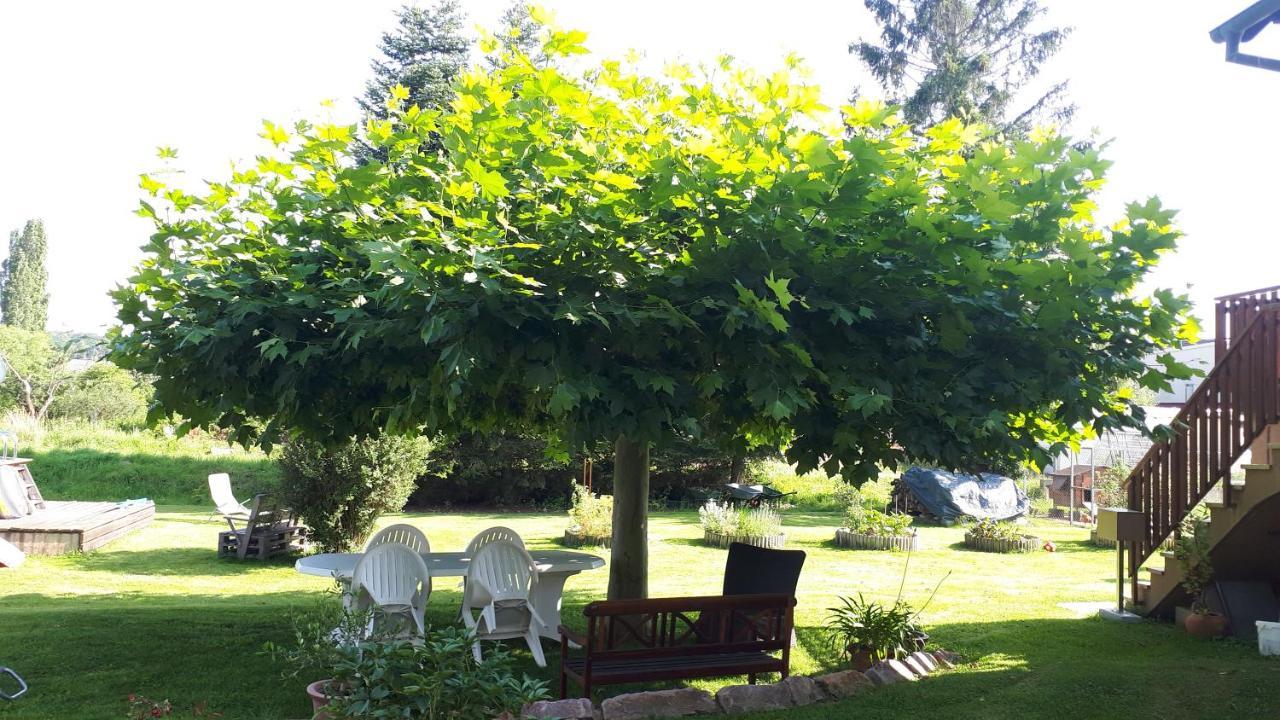 Gite "Le Platane" 45 M2 - Climatise Monswiller 외부 사진