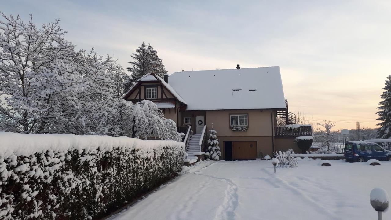 Gite "Le Platane" 45 M2 - Climatise Monswiller 외부 사진